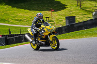 Lower Group Yellow Bikes